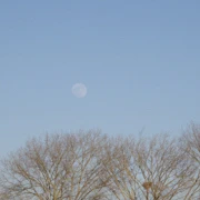 淡淡既月色‧‧‧