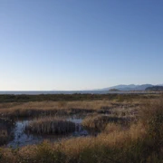 同時等待夕陽既來臨。