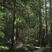 Baden Power Trail。