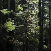 Baden Power Trail。