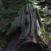 Baden Power Trail。