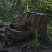 Baden Power Trail。