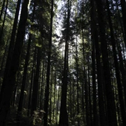 Baden Power Trail。