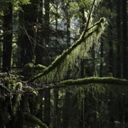 Baden Power Trail。