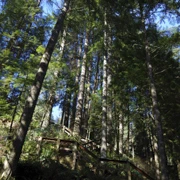 Baden Power Trail。