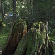 返回公園入口。