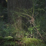 返回公園入口。