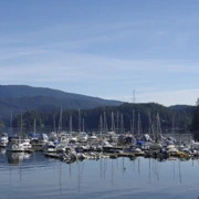Deep Cove。