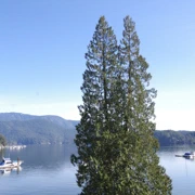 Deep Cove。