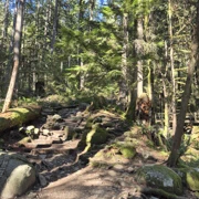 全程係上山碎石路。