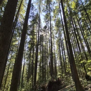 全程係上山碎石路。