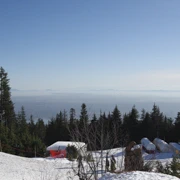Grouse Mountain。