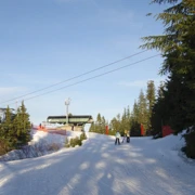 Grouse Mountain。