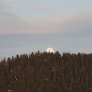 等到月亮也出來了。