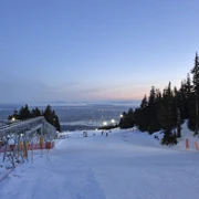 Grouse Mountain。