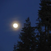 我繼續看見今晚的月色很美，妳呢？