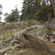 擒高擒低不特止‧‧‧