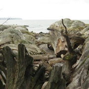 仲要穿石灘‧‧‧