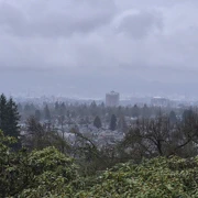 來到Queen Elizabeth Park，繼續係大雨既天氣。