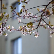 因為搬酒店既關係‧‧‧