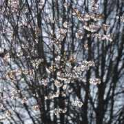 一直係住緊既酒店旁既街道。