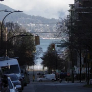 街道旁既櫻花。