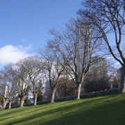 English Bay Beach。