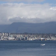 但從來都無諗過‧‧‧