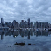 A-maze-ing Laughter。