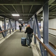 30秒要由入口衝到渡輪上。