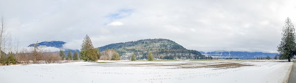 Harrision Lake Surrounding