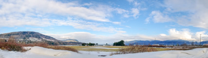 Harrision Lake Surrounding