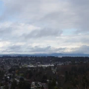 但我們卻來到Mount Tolmie Park的觀景台。