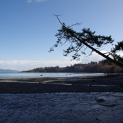 Mount Douglas Beach。