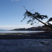 Mount Douglas Beach。