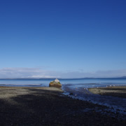 Mount Douglas Beach。