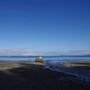 Mount Douglas Beach。