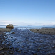 Mount Douglas Beach。