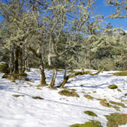 樓梯旁剩下的雪景。