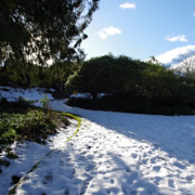 公園內還有不少積雪。