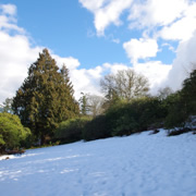 公園內還有不少積雪。