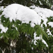 機上積雪。