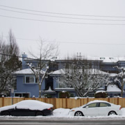 街道上的車輛也是雪。