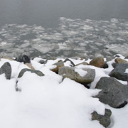 今天依然是下雪天。