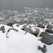 今天依然是下雪天。