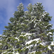 滑雪場上。