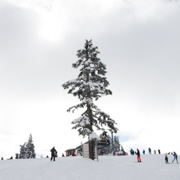 滑雪場上。