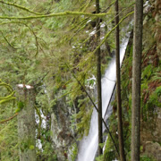 唯一一張在Lynn Canyon Park留影的相片。