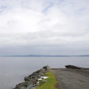 早上來到這地方‧‧‧