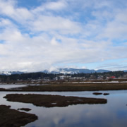 就是因為昨天Westcan Terminal Road已關門的關係‧‧‧